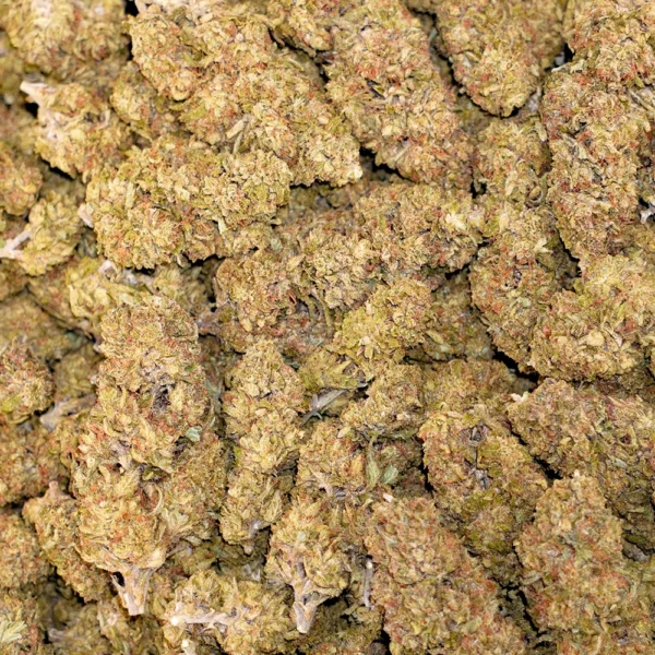 Wonder Dawg High THCa Hemp - Image 4
