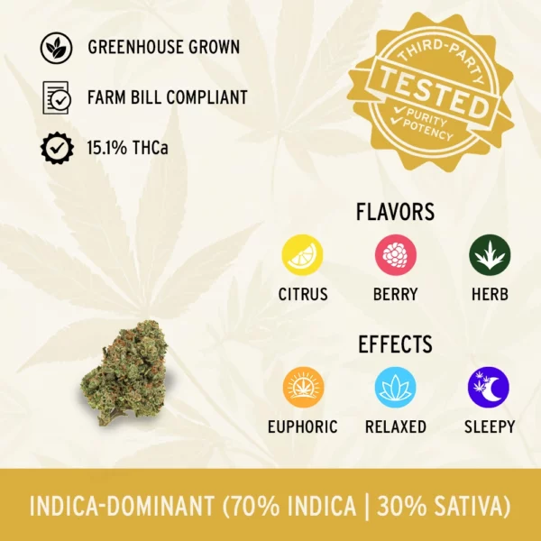 Jager Mendo High THCa Hemp - Greenhouse - Image 2