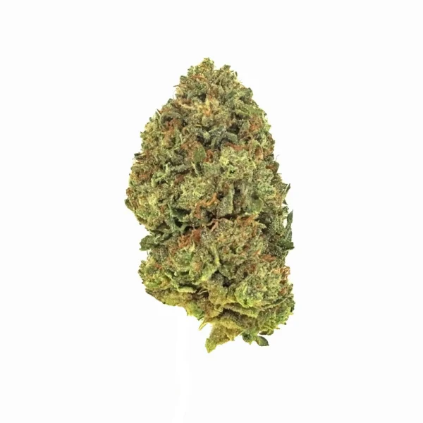 White Runtz High THCa Hemp - Greenhouse