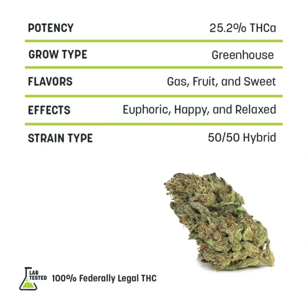 Bapez High THCa Hemp - Greenhouse - Image 2