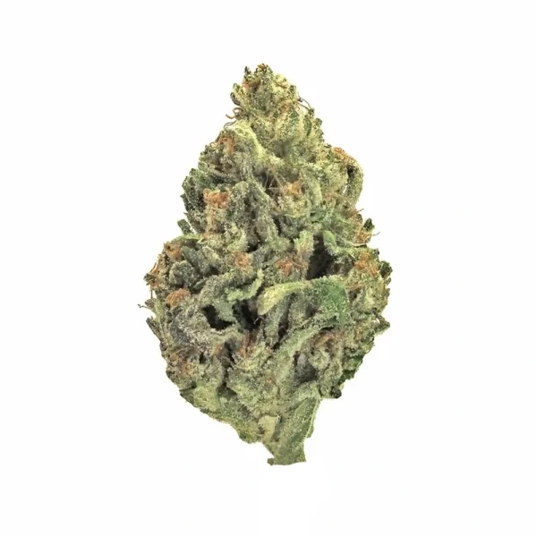 Bapez High THCa Hemp - Greenhouse