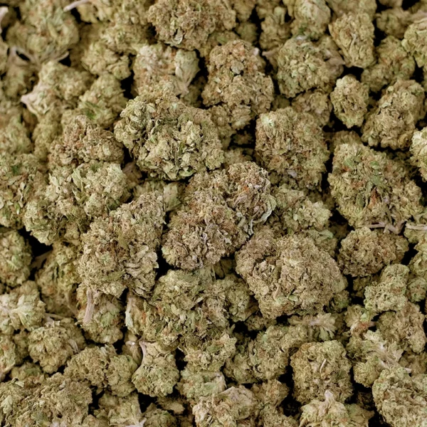 Bird Terdz High THCa Hemp - Greenhouse - Image 4