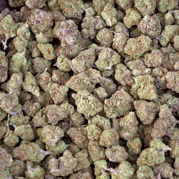 Cheetah Piss High THCa Hemp - Image 4