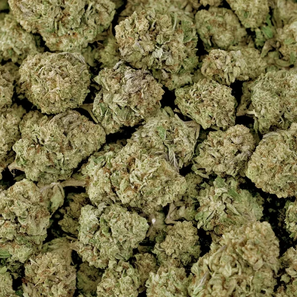 Citrus Wedding High THCa Hemp - Image 4