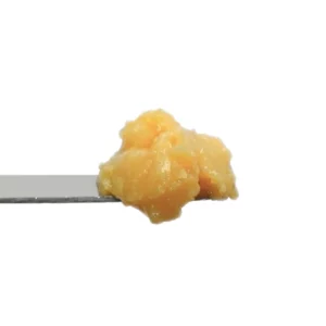 Creme Brulee - THCa Badder