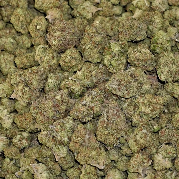 Pasties High THCa Hemp - Image 4