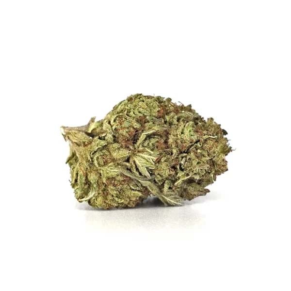 Pasties High THCa Hemp - Image 3