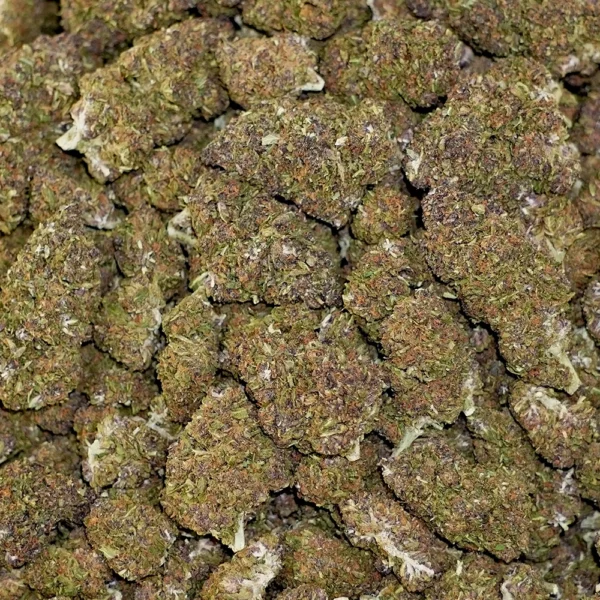 Panama Red High THCa Hemp - Image 4
