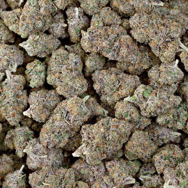 Double Runtz High THCa Hemp - Image 4