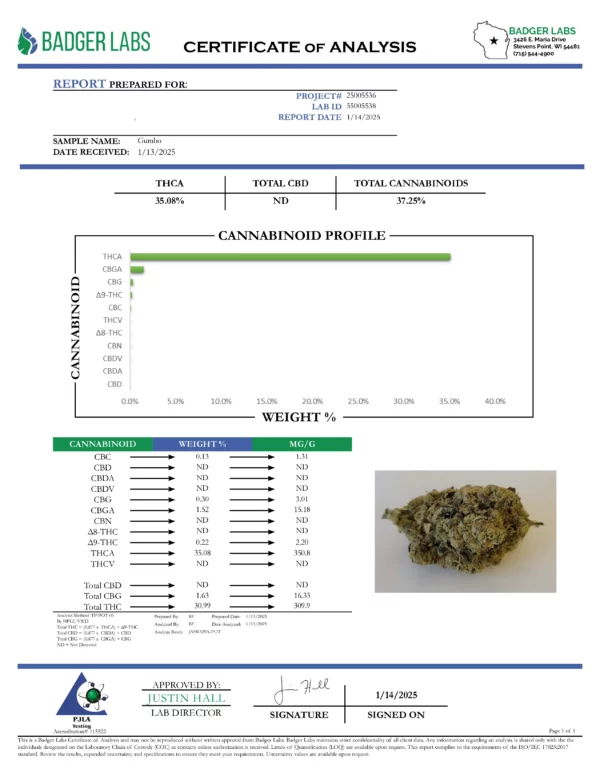 Gumbo High THCa Hemp - Image 5