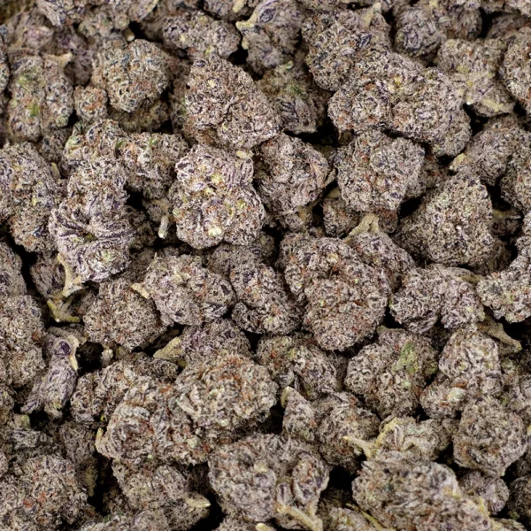 King Louie High THCa Hemp - Image 4
