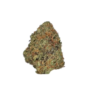 RS11 High THCa Hemp