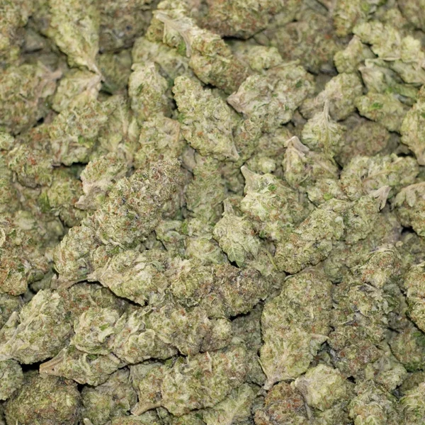 BC x WC #17 High THCa Hemp - Image 3