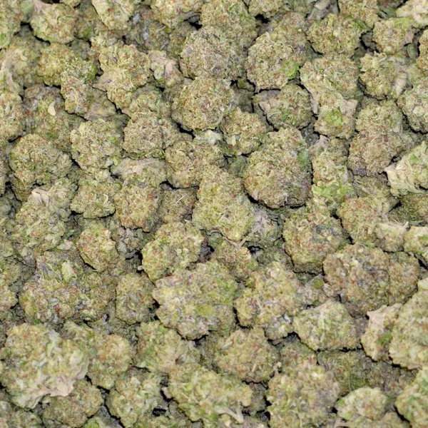 BC x WC #7 High THCa Hemp - Image 4