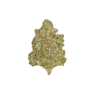 BC x WC #7 High THCa Hemp