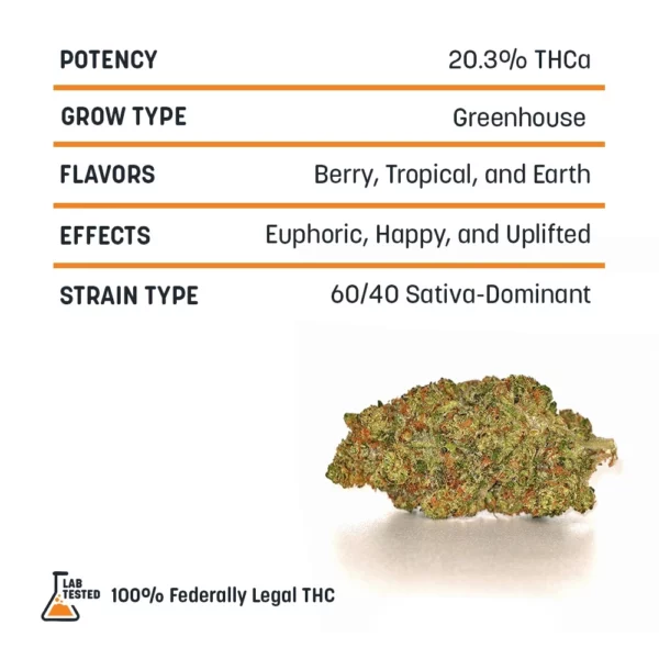 College Park High THCa Hemp - Image 2