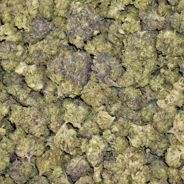 Rainbow Sherbert High THCa Hemp - Image 4