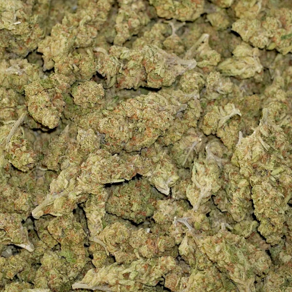 Apricot High THCa Hemp - Image 4