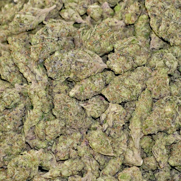 BC x Trop #11 High THCa Hemp - Image 4