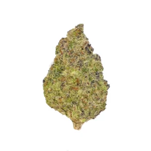 BC x Trop #11 High THCa Hemp
