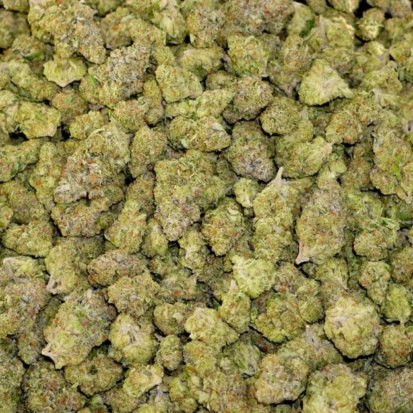 Bird Terdz High THCa Hemp - Image 4